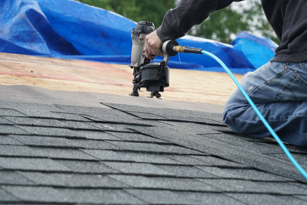Best Roof Gutter Cleaning  in Perry, IA